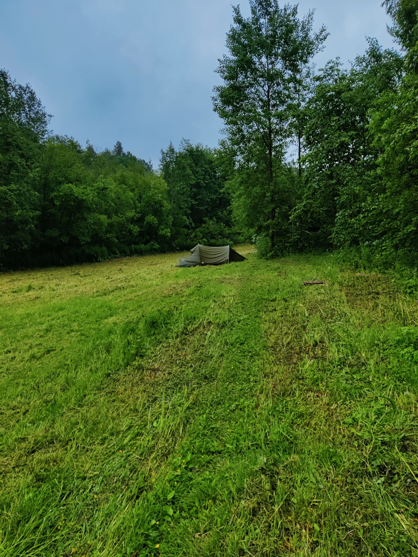 Teltta laitettiin metsän reunaan, josta löytyi myös pyykkinaru, jossa kuivasimme uimakamppeet ja pyyhkeet.